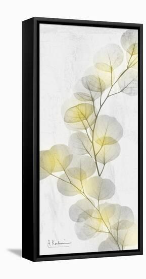 Eucalyptus Sunshine 2-Albert Koetsier-Framed Stretched Canvas