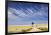 Eucalyptus Tree and Dirt Road Running through Wheat Fields near Adelaide-Jon Hicks-Framed Photographic Print