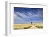 Eucalyptus Tree and Dirt Road Running through Wheat Fields near Adelaide-Jon Hicks-Framed Photographic Print