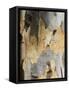 Eucalyptus Tree Bark, Greece, Europe-Robert Harding-Framed Stretched Canvas