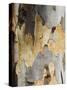 Eucalyptus Tree Bark, Greece, Europe-Robert Harding-Stretched Canvas