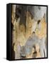 Eucalyptus Tree Bark, Greece, Europe-Robert Harding-Framed Stretched Canvas