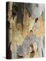 Eucalyptus Tree Bark, Greece, Europe-Robert Harding-Stretched Canvas