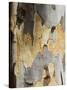 Eucalyptus Tree Bark, Greece, Europe-Robert Harding-Stretched Canvas