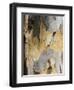 Eucalyptus Tree Bark, Greece, Europe-Robert Harding-Framed Premium Photographic Print