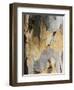 Eucalyptus Tree Bark, Greece, Europe-Robert Harding-Framed Photographic Print