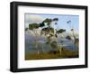 Eucalyptus Trees in Evening Light, Wilson's Promontory National Park, Victoria, Australia-Steve & Ann Toon-Framed Photographic Print