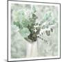Eucalyptus Vase-Kimberly Allen-Mounted Art Print