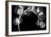 Eucalyptus Xray-Albert Koetsier-Framed Art Print