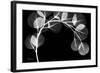 Eucalyptus Xray-Albert Koetsier-Framed Art Print