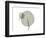 Eucalyptus-Albert Koetsier-Framed Photographic Print