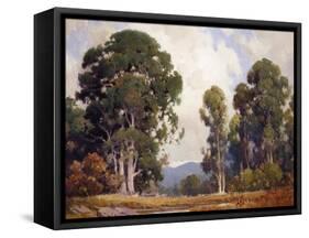 Eucalyptus-Percy Gray-Framed Stretched Canvas
