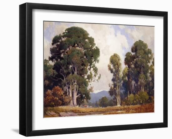 Eucalyptus-Percy Gray-Framed Art Print