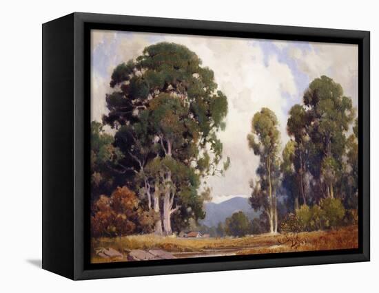 Eucalyptus-Percy Gray-Framed Stretched Canvas