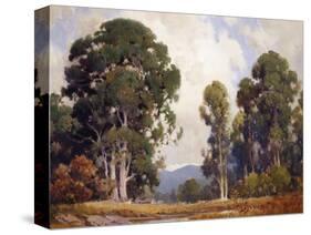 Eucalyptus-Percy Gray-Stretched Canvas