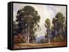 Eucalyptus-Percy Gray-Framed Stretched Canvas