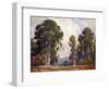 Eucalyptus-Percy Gray-Framed Art Print