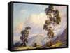 Eucalyptus-Paul Grimm-Framed Stretched Canvas