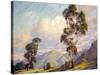 Eucalyptus-Paul Grimm-Stretched Canvas
