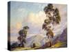 Eucalyptus-Paul Grimm-Stretched Canvas