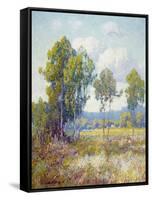Eucalyptus-Maurice Braun-Framed Stretched Canvas