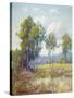 Eucalyptus-Maurice Braun-Stretched Canvas