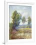 Eucalyptus-Maurice Braun-Framed Art Print