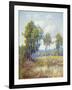 Eucalyptus-Maurice Braun-Framed Art Print