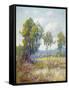Eucalyptus-Maurice Braun-Framed Stretched Canvas