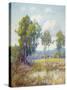 Eucalyptus-Maurice Braun-Stretched Canvas