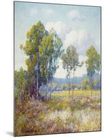 Eucalyptus-Maurice Braun-Mounted Art Print