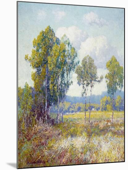 Eucalyptus-Maurice Braun-Mounted Art Print