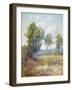 Eucalyptus-Maurice Braun-Framed Art Print