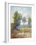 Eucalyptus-Maurice Braun-Framed Art Print