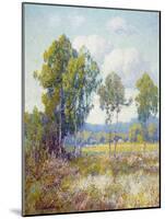 Eucalyptus-Maurice Braun-Mounted Art Print