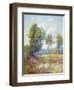 Eucalyptus-Maurice Braun-Framed Art Print