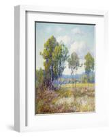 Eucalyptus-Maurice Braun-Framed Art Print