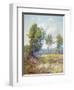 Eucalyptus-Maurice Braun-Framed Art Print