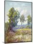 Eucalyptus-Maurice Braun-Mounted Art Print
