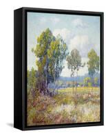 Eucalyptus-Maurice Braun-Framed Stretched Canvas