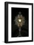 Eucharist adoration, Ars-sur-Formans, Ain, France-Godong-Framed Photographic Print