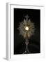 Eucharist adoration, Ars-sur-Formans, Ain, France-Godong-Framed Photographic Print