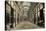 Euclid Arcade, Cleveland-null-Stretched Canvas