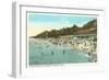 Euclid Beach, Cleveland, Ohio-null-Framed Art Print