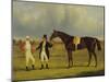 'Euclid' with His Jockey Conolly and Trainer Pettit-John Frederick Herring I-Mounted Giclee Print