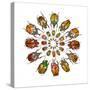 Eudicella Flower Beetles from African in a Circular Design Pattern-Darrell Gulin-Stretched Canvas