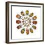 Eudicella Flower Beetles from African in a Circular Design Pattern-Darrell Gulin-Framed Photographic Print