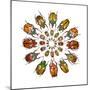 Eudicella Flower Beetles from African in a Circular Design Pattern-Darrell Gulin-Mounted Photographic Print