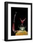 Eudicella Gralli Schultzeorum (Flamboyant Flower Beetle)-Paul Starosta-Framed Photographic Print