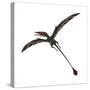 Eudimorphodon, a Pterosuar from the Late Triassic Period-null-Stretched Canvas